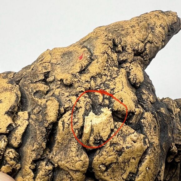 Vintage Sparrow Pine Cone Ceramic Figurine 3” Bird Sculpture “Small Chips” - Picture 12 of 12